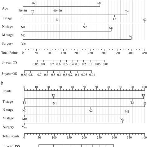 Nomogram Stratified Risk Of Overall Survival A C And Disease Specific