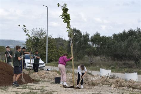 Projekt DICA SADE VIŠE ZA STUPANJ NIŽE udruge Argonauta iz Murtera