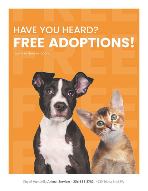 Huntsville Animal Services Waives Adoption Fees Through Aug 6 City