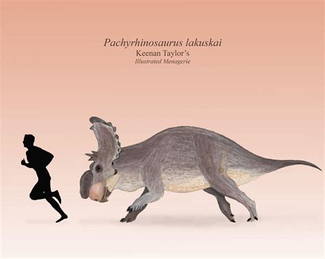 Pachyrhinosaurus Lakuskai By Illustratedmenagerie On Deviantart