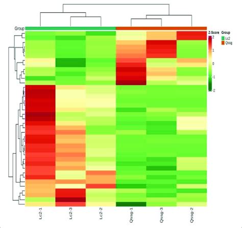 Cluster Heat Map Of Metabolites In Qssg And Lc Fruits There Are Download Scientific Diagram