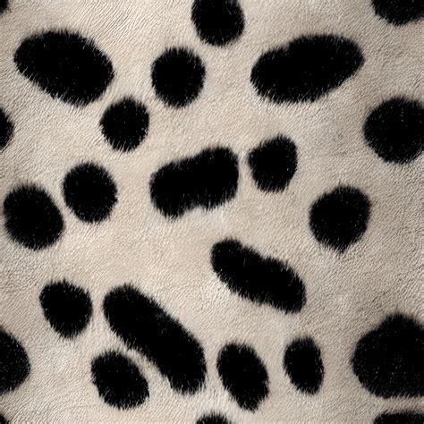 Dalmatian Spots Fur Close Up Realistic · Creative Fabrica