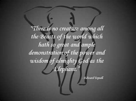 134 Legendary Elephant Quotes That Make You Think Bayart