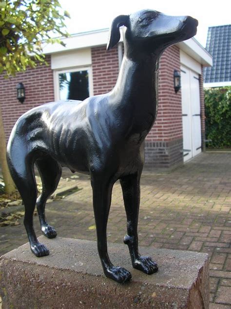 Zeer Mooi En Zwaar Beeld Van Een Hazewindhond Catawiki