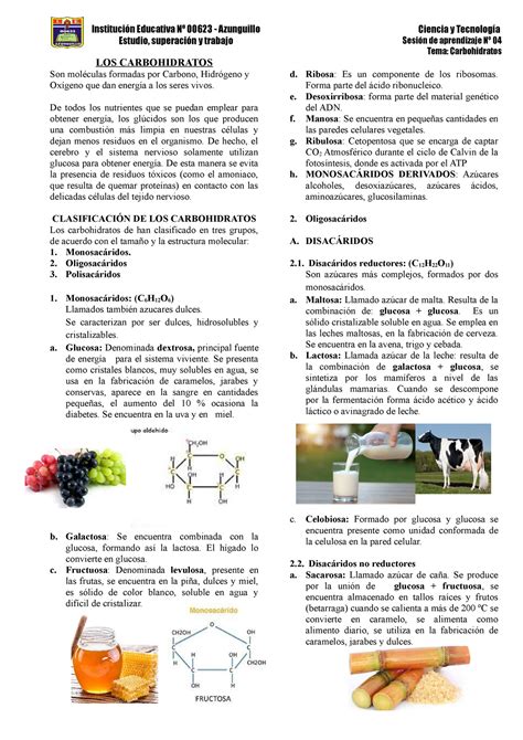 Biomol Culas Org Nicas Los L Pidos Los Carbohidratos Son Mol Culas