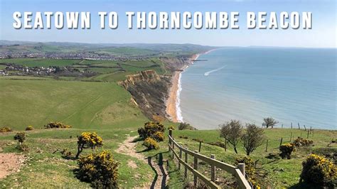 Seatown To Thorncombe Beacon Walk Dorset Walks