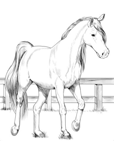 Paint Horse Realistic Horse Coloring Pages - Each paint horse has a particular combination of ...