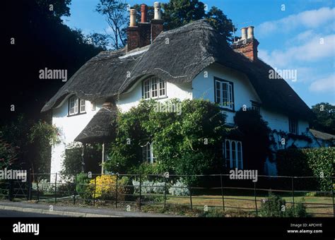 Beehive Cottage At Swan Green Lyndhurst The New Forest National Park