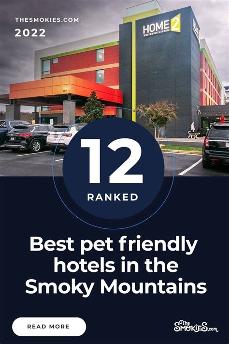 12 best pet friendly hotels in Gatlinburg, Pigeon Forge TN | Gatlinburg hotels, Pet friendly ...