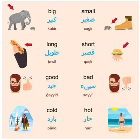 Adjectives In Arabic 200 List Of Common Arabic Adjectives