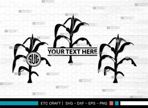 Corn Stalk SVG Monogram Corn Stalk SVG Graphic By Pixel Elites