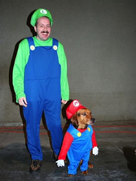 The 11 Best Halloween Costumes For Dogs Smooth