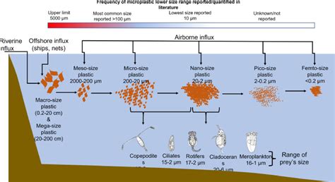 How To Filter Microplastics From Water