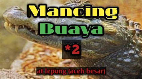 Mancing Buaya At Leupung Aceh Aceh Besar Part 2 Youtube