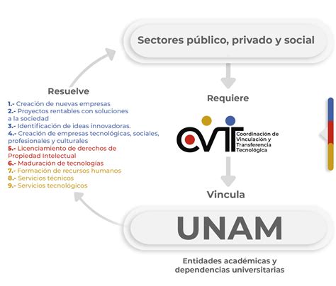 ¿quiénes Somos Vinculación Unam