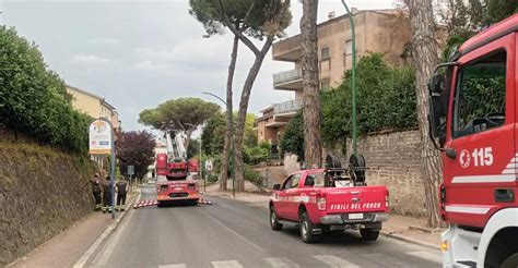 Colleferro La Polizia Locale Richiede Lintervento Dei Vigili Del Fuoco