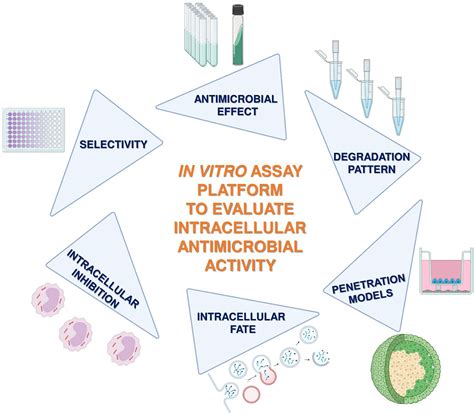 Frontiers Novel Assay Platform To Evaluate Intracellular Killing Of