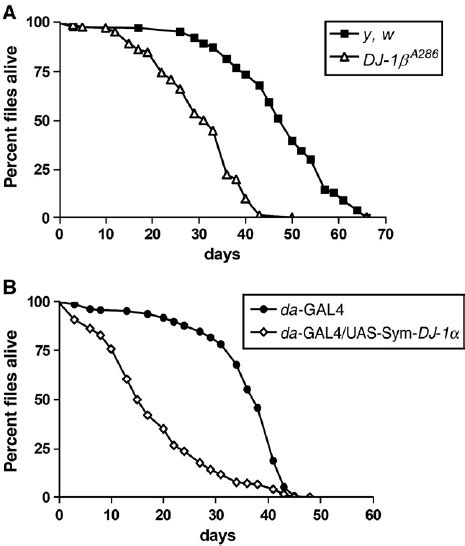 Lifespan Analysis In Drosophila Dj 1 Mutants A Comparison Of Download Scientific Diagram