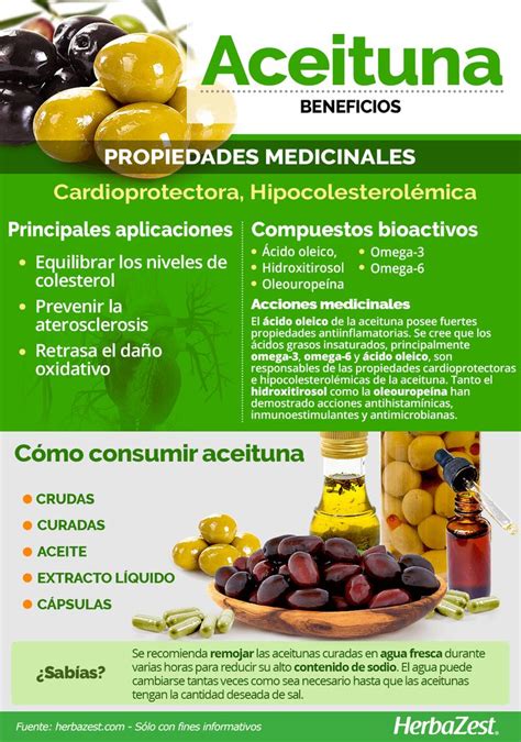 Aceituna Herbazest Frutas Y Verduras Beneficios Beneficios De