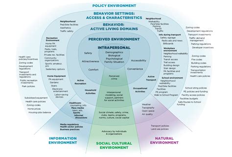 2 Assessing And Defining Physical Activity Environments Nccor