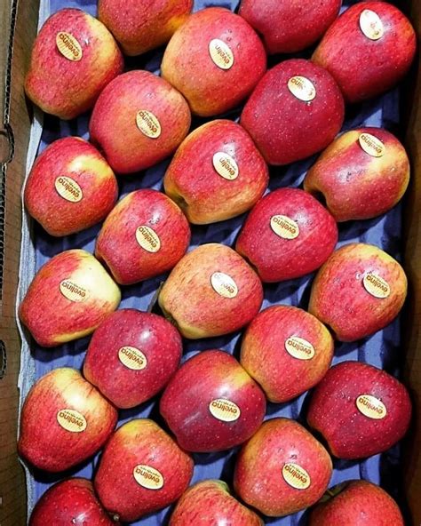 Himachali A Grade Fresh Apple Himachal Packaging Type Carton Fvgdfv