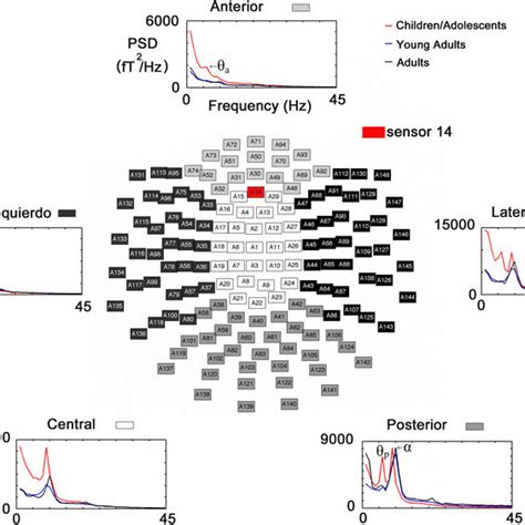 Spatial Localization Of The Meg Sensors And Averaged Psd For Each Brain