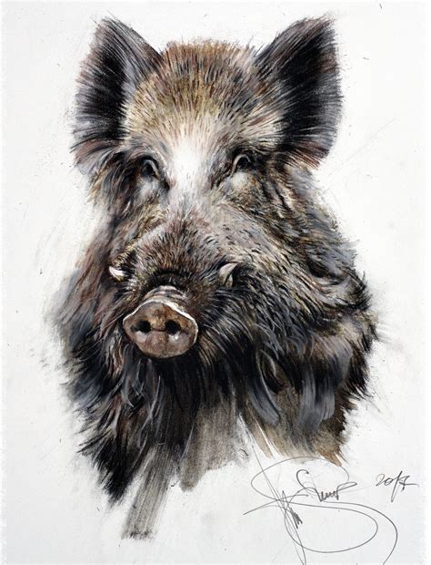 Wild Boar Signed Authors Print Wild Boar Etsy