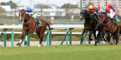 【阪急杯2022予想】本命馬5選と穴馬5選・コース解説・過去10年データ分析と阪急杯傾向 3連単 ｜ 3連単6点勝負！競馬で夢を叶える！3連単