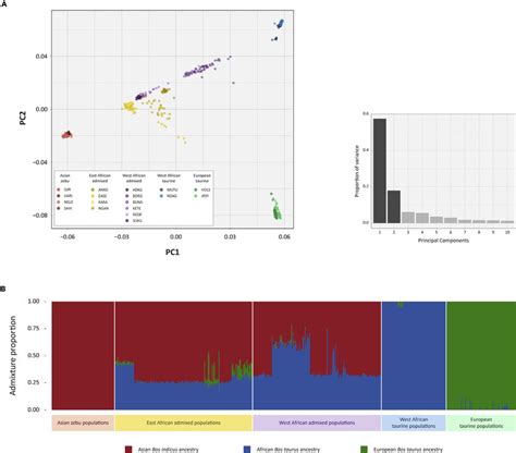 Autosomal Genomic Diversity And Admixture In African Asian And