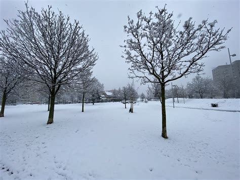 IMG 6993 Hedwig und Johann Schneider Park in der Großfelds Flickr