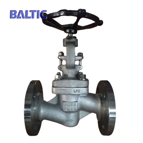 DN50 PN40 Globe Valve Full Bore 1 4308 EN 13709 RF Baltic