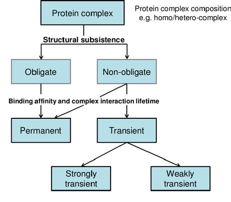 Figure From Protein Interactions And Regulation Of Stim And Orai