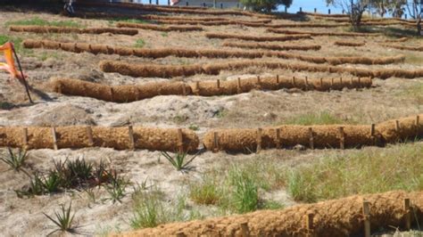 Coir Log Installation Tips Common Questions Answered