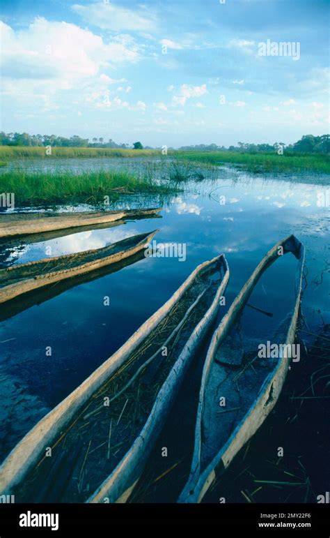 Canoes In The Okavango Delta Botswana Stock Photo Alamy