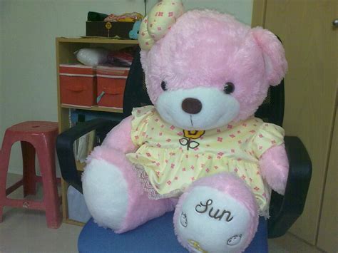 The Lynsi Land Big Pink Teddy Bear