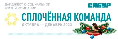 Дайджест «Сплоченная команда»
