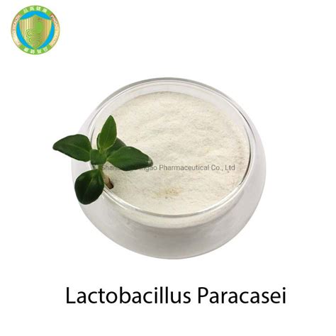 Feed Grade Probiotics Lactobacillus Paracasei China Lactobacillus