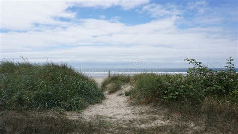 Ecosystem, Sky, Vegetation, Shrubland Picture. Image: 135689406