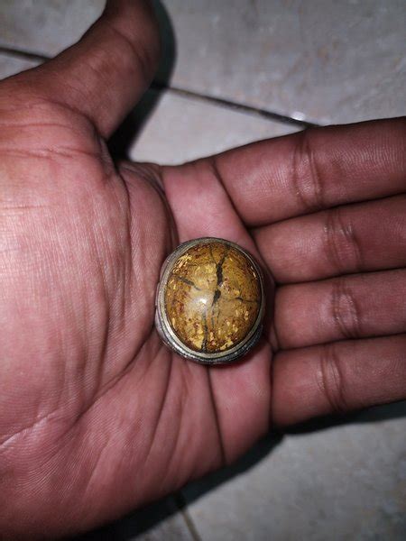 Jual Warisan Mbah Batu Cincin Tapak Jalak Super Jos Unik Kuno Di Lapak