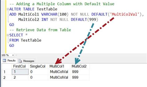 Sql Server How To Add Multiple New Columns To Table With Default Values Sql Authority With