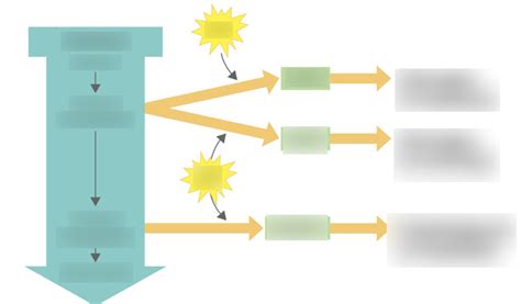 polysaccharide biosynthesis Diagram | Quizlet