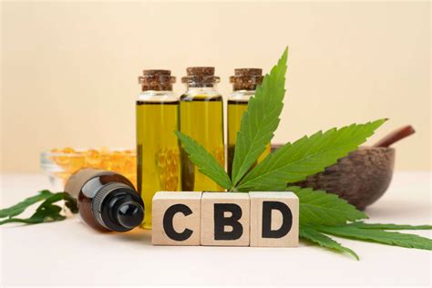 Układ endokannabinoidowy czym jest i jak działa Hempets Olej CBD