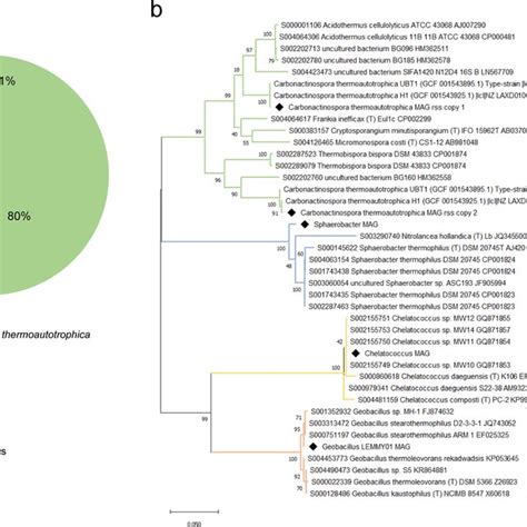 Carbonitroflex Metagenome Composition A Taxonomic Composition And B