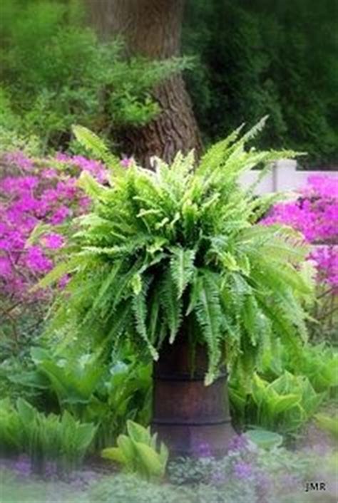 31 Chimney pots ideas | chimney pot planter, container gardening, garden