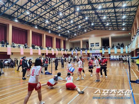 현직체육쌤이 만든 빅발리볼축제밀양교육장배 전국학교스포츠클럽대회 스포츠조선