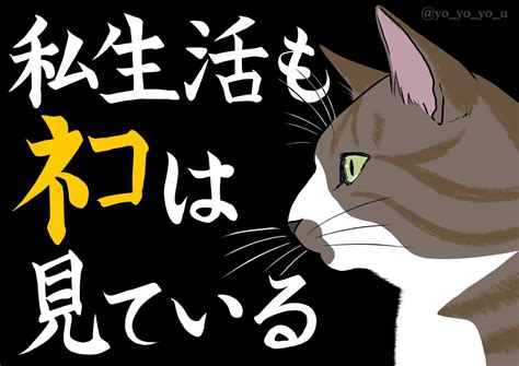 「今週のサンシャイン池崎さんの保護猫のコーナーの良さポイントまとめ N みんなのどうぶつ園 Ikezaki Wow 」卯月ようの漫画