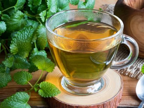 Best Benefits Of Lemon Balm Tea Organic Facts