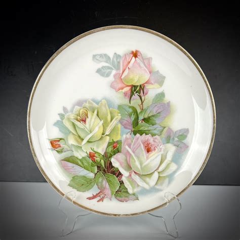 Antique Cabinet Plate Carl Tielsch Altwasser Silesia White Pink Roses