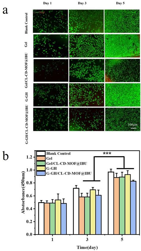 Viability And Proliferation Of Mc3t3 E1 Cells The Representative