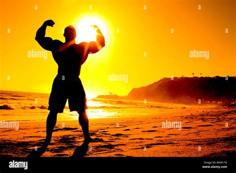 Muscles Body Builder Beach Sunny Strength Power Sun Sand California